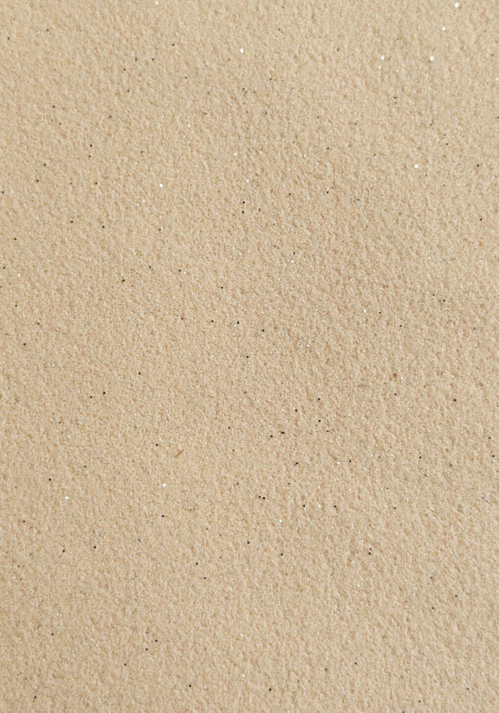 rd-25-new